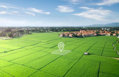 İfraz Nedir ve Nasıl Yapılır?